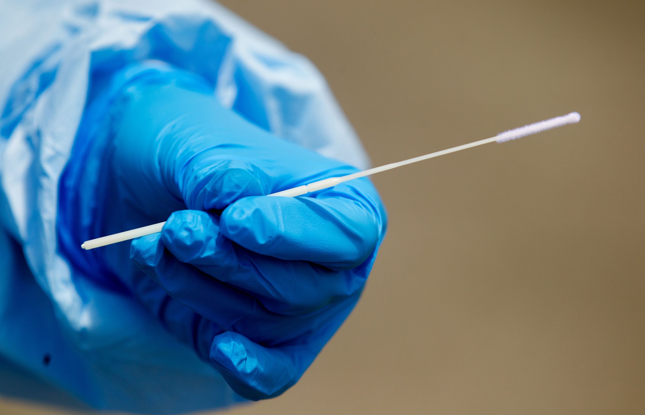 A blue-gloved hand holds a nasal testing swab.